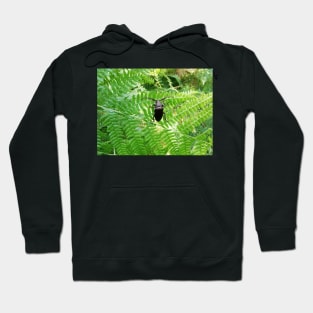 A big insect Hoodie